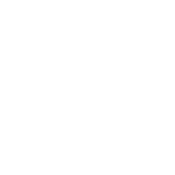 富迪